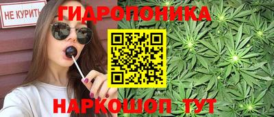 прущие грибы Комсомольск-на-Амуре